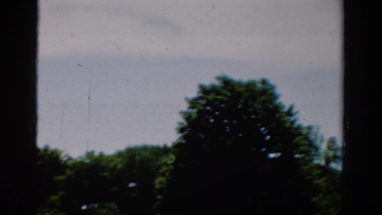 1954 California 8mm frame showing leafy trees and pale blue sky seen through dark vertical and horizontal window-frame bars.