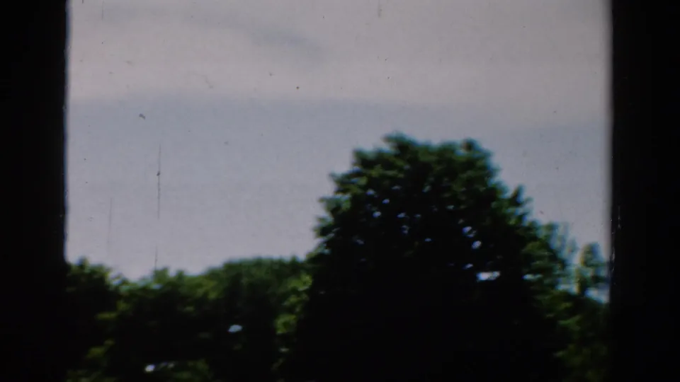 1954 California 8mm frame showing leafy trees and pale blue sky seen through dark vertical and horizontal window-frame bars.