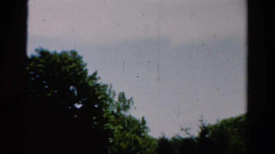 1954 California 8mm frame with tree canopy, pale blue sky, and dark window-frame bars creating a divided view.