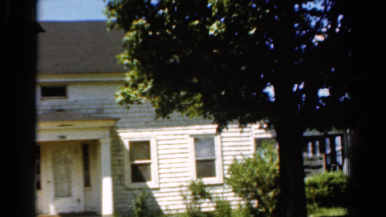 White clapboard house partly hidden by a large tree in bright sunlight.