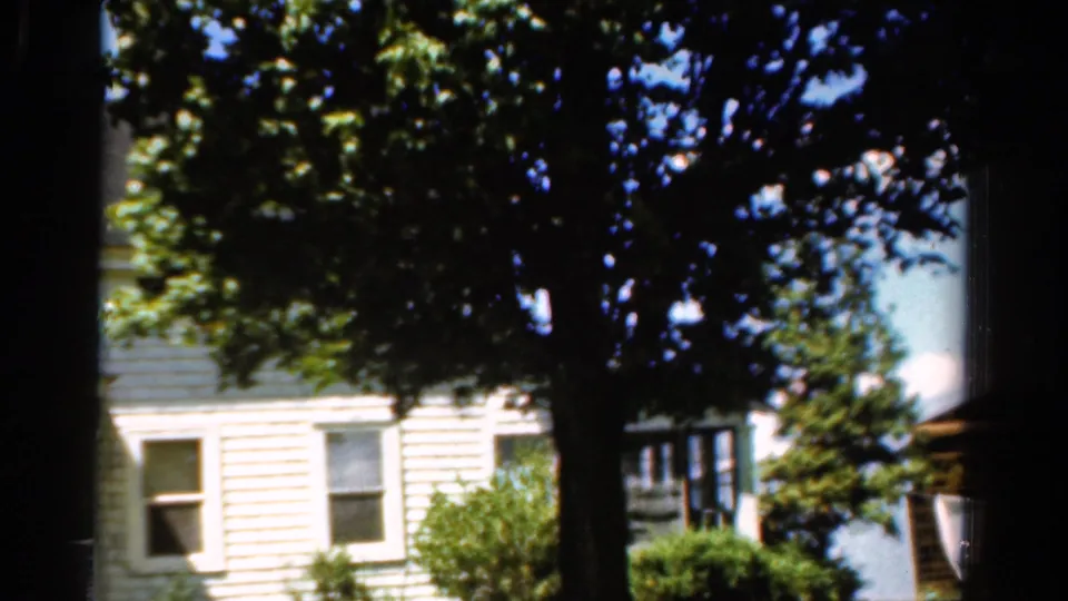 1954 California frame with a white clapboard house, windows, shrubs, and a dark foreground tree creating deep shade across the view.