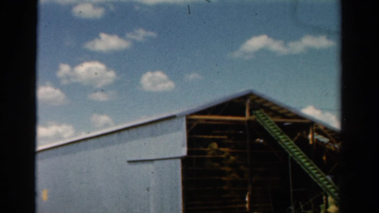 Pale metal-sided barn with dark open end and green diagonal structure.