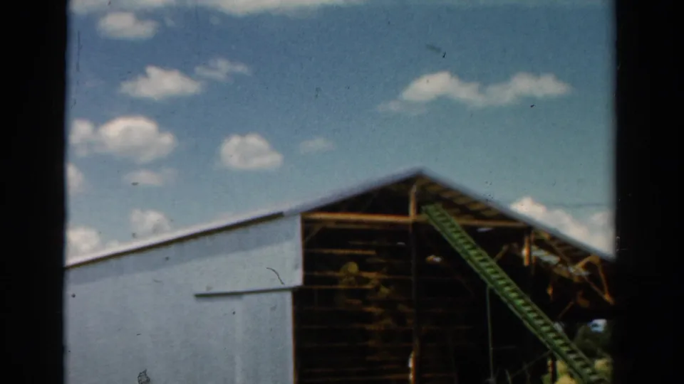 A slightly softer 8mm frame shows the corrugated farm building, exposed roof framing, and diagonal green conveyor or ladder.