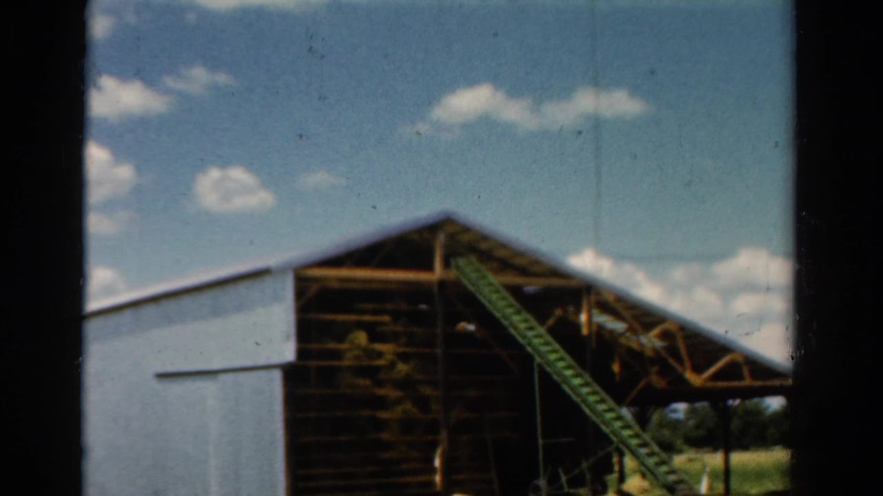 Large barn with white siding, open wooden framing, green conveyor ramp, and hay piles under a blue sky.