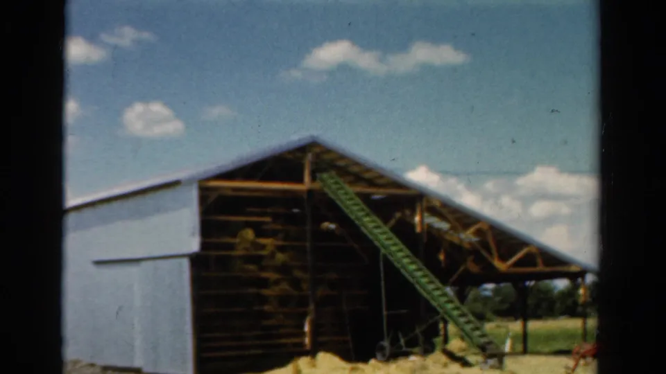 1954 California 8mm view of an open-sided barn with timber beams, white siding, a green conveyor ramp, hay piles, and farmland in the background.