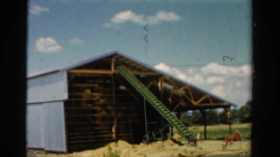 1954 California farm frame showing a barn, green conveyor ramp, hay or straw piles, white siding, trees, and a small red farm implement nearby.