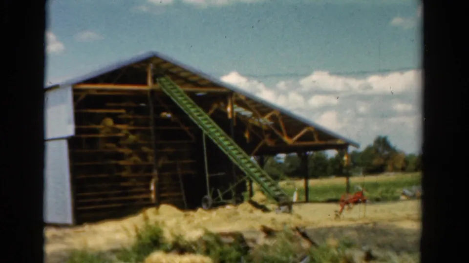 1954 California 8mm frame with a wider look at the barn, green conveyor ramp, hay piles, open wooden framing, nearby field, and red farm implement.