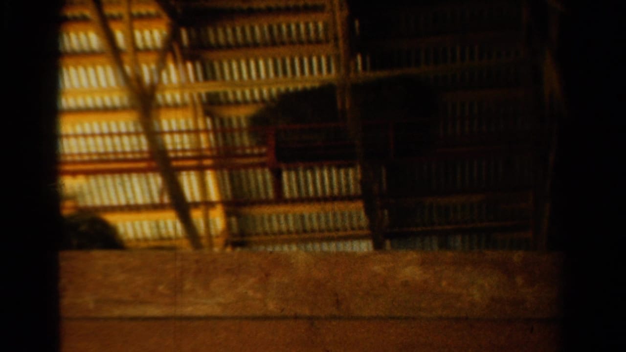 Dim barn ceiling with wooden beam, corrugated panels, and hay visible near a loft edge.