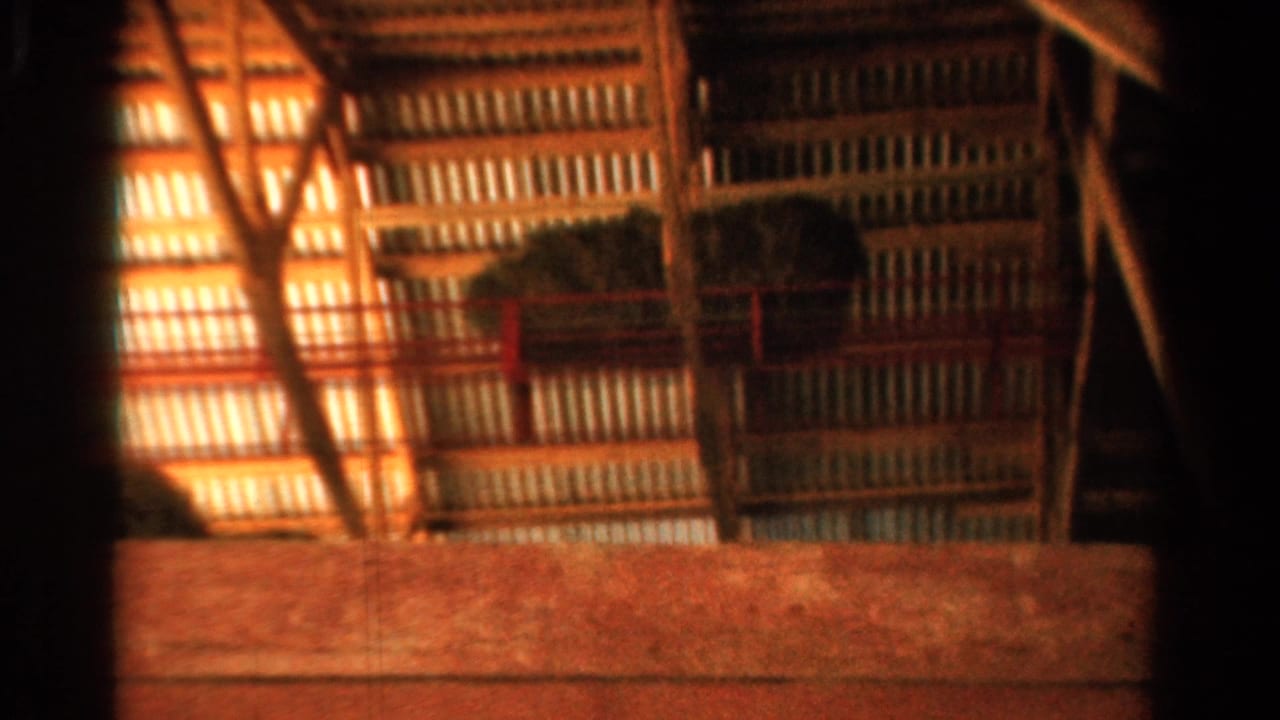 1954 California barn interior with hay on a raised loft, red railings, timber supports, and warm light across corrugated panels.