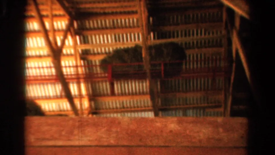 1954 California barn interior with hay on a raised loft, red railings, timber supports, and warm light across corrugated panels.