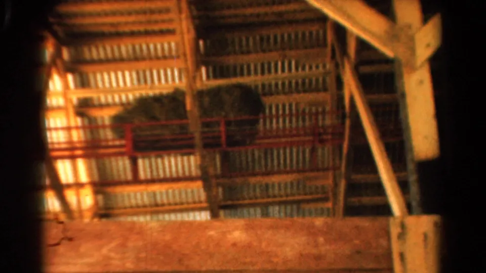 Handheld 1954 California 8mm view of a barn hay loft with red railing, timber post, corrugated panels, and warm interior light.