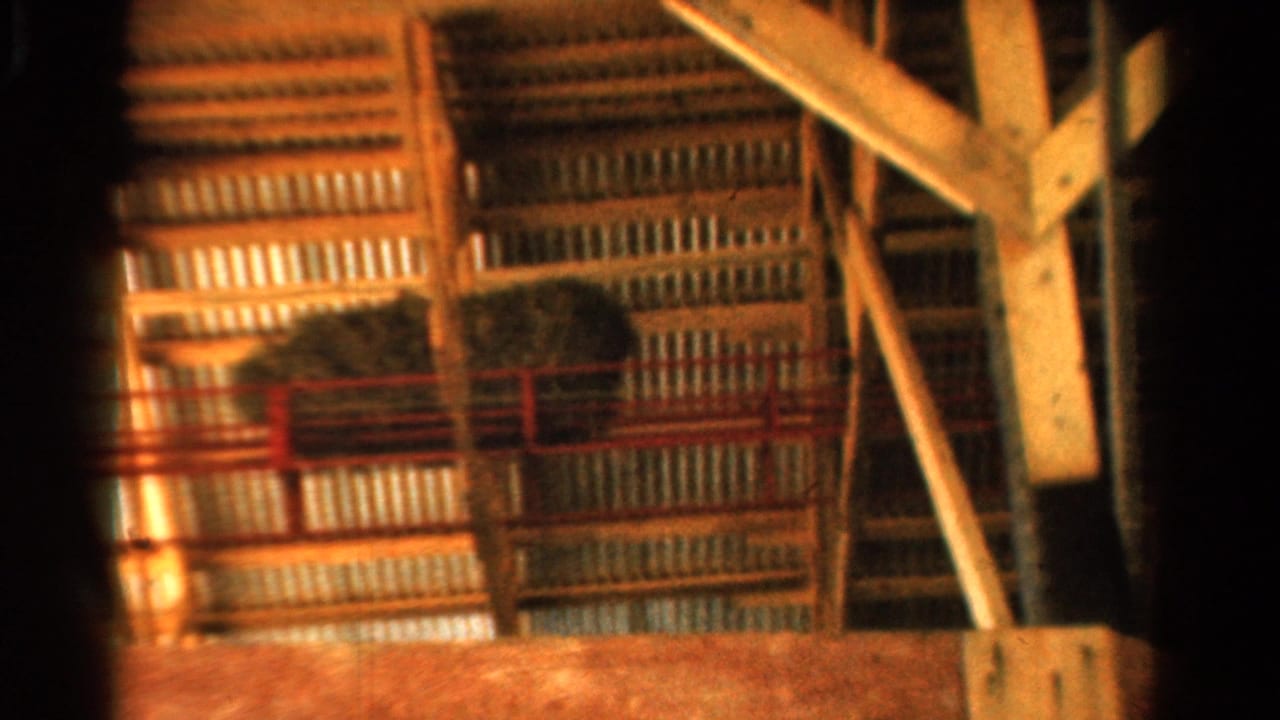 Barn interior with timber beams, corrugated wall panels, red railing, and stacked hay bales.