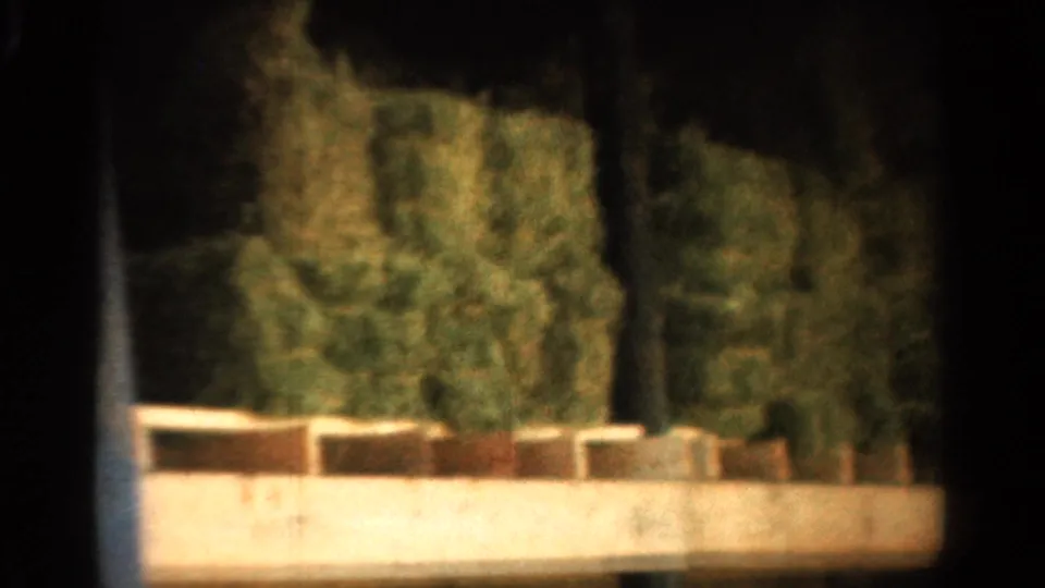 1954 California 8mm view of stacked hay bales inside a barn, with a pale ledge, dark upright posts, and soft film grain.