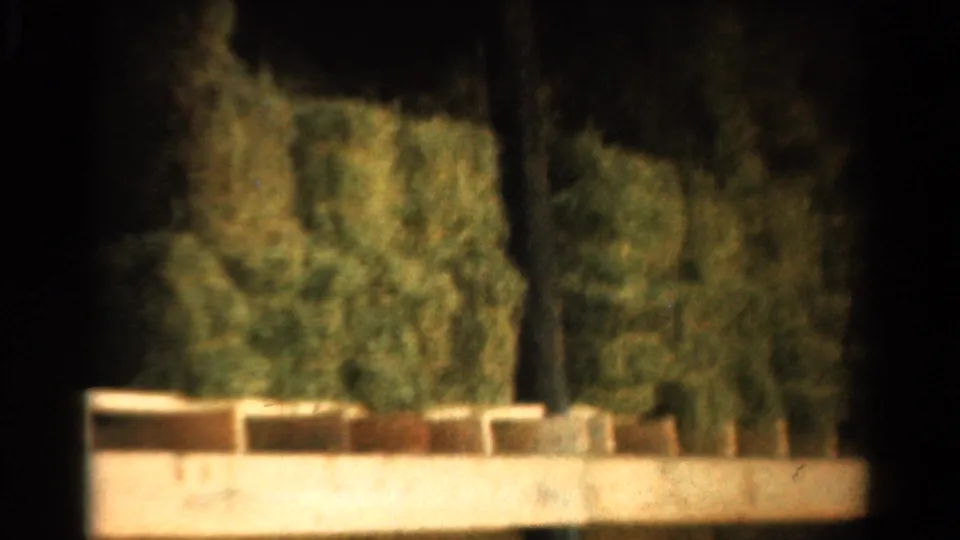 1954 California home-movie frame showing square hay bales in a dim barn bay, bordered by posts and a pale horizontal ledge.