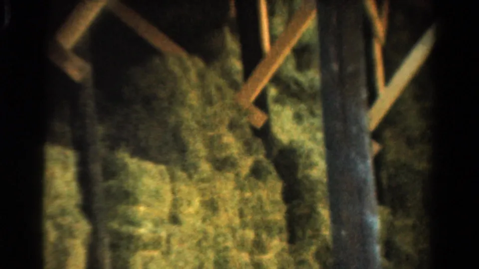 Soft 8mm close view of greenery, a vertical wooden post, diagonal braces, and shadowed landscaping details.
