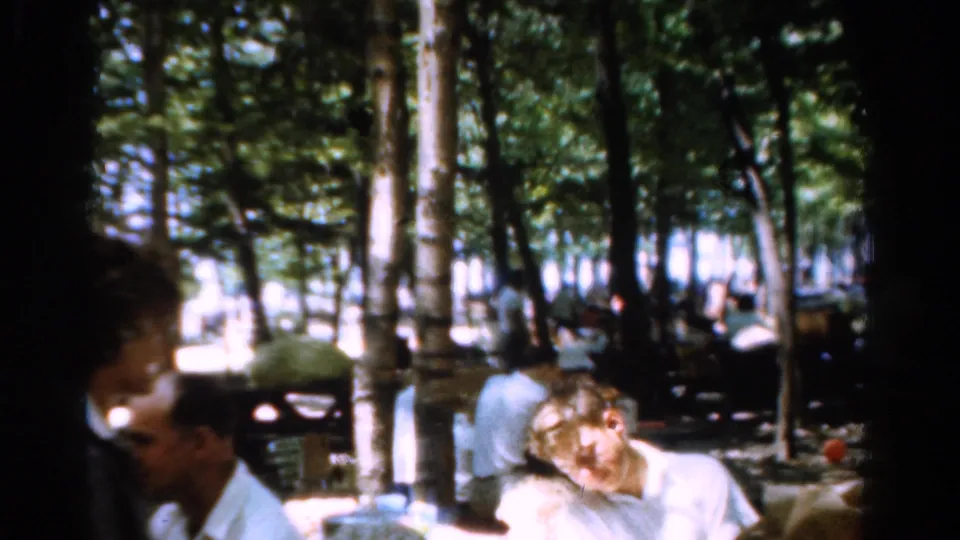 1954 California home-movie frame with adults gathered under tall trees, benches, parked cars, and bright sun in the background.