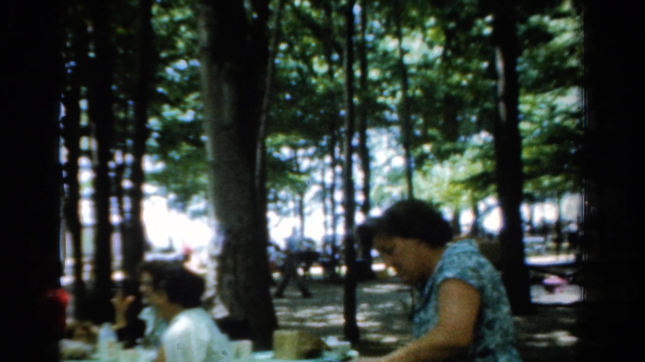 1954 California 8mm frame showing adults gathered at an outdoor meal in a shaded wooded park setting.