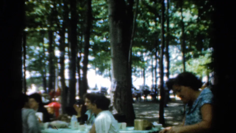 Home-movie view of adults at a shaded picnic table, with tall trees and bright open space beyond.