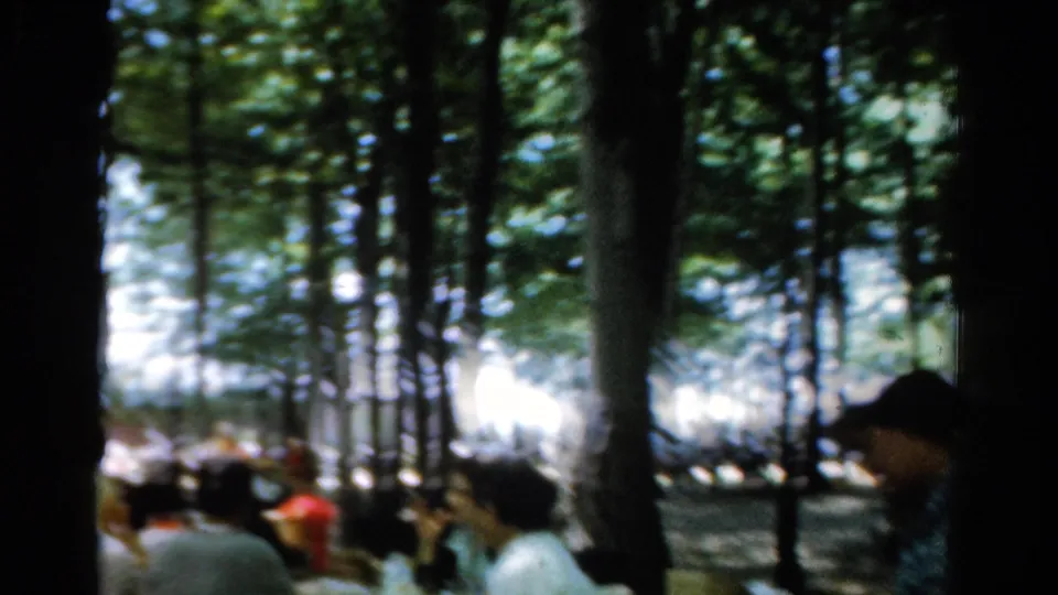 Soft 8mm frame of a casual outdoor meal, with adults around the table and a wooded park backdrop.