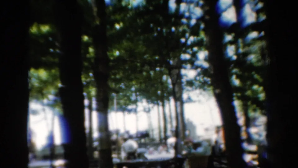 Wooded park view with picnic tables and people partly obscured by trees in a 1954 California home movie.