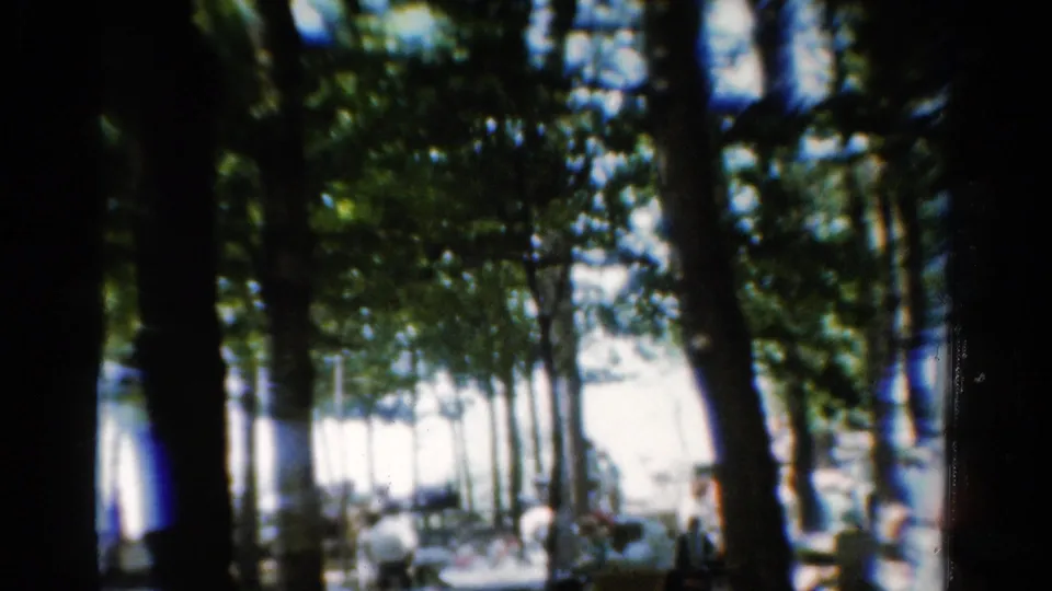 1954 California 8mm frame showing a shaded grove, bright background, picnic tables, and distant people gathered outdoors.