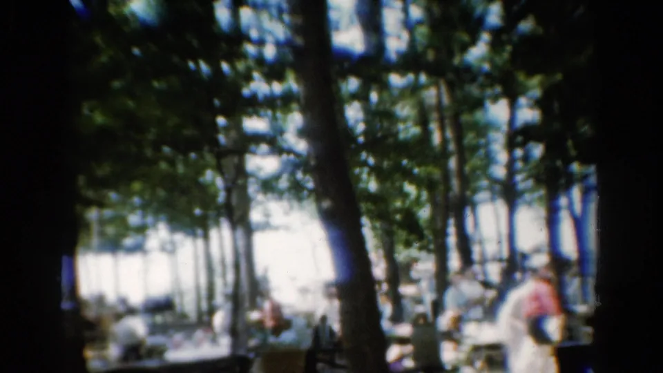 Distant figures in a California grove appear near picnic tables, with strong sunlight beyond the trees and soft 8mm focus.