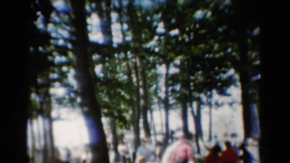 A home-movie view of a large outdoor picnic in California, with people gathered in shade under tall trees.