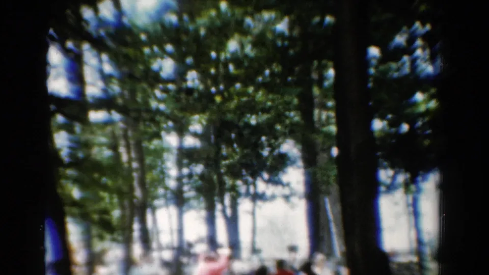 Final frame shows a soft 8mm view of a picnic group in a tree-lined California outdoor setting, with people partly obscured by trunks.