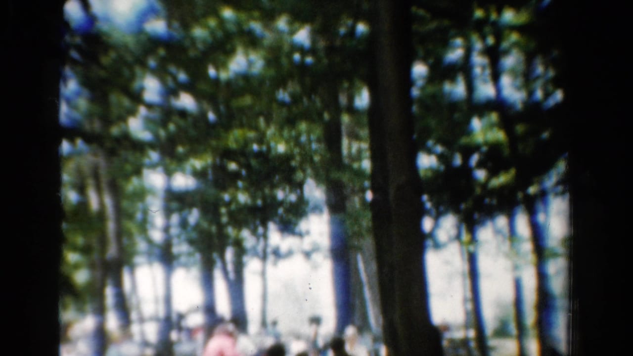 Shaded trees with bright background and blurred people in the distance.