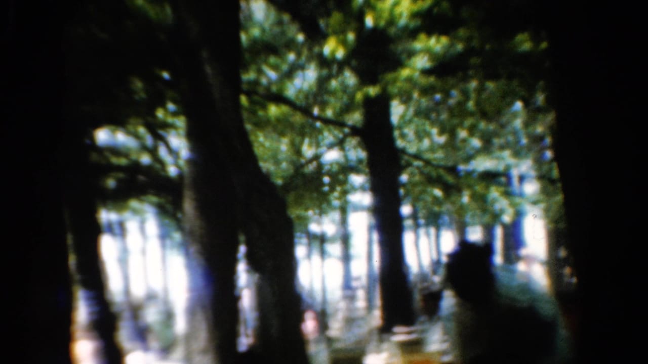 People stand and sit among tall trees in a shaded picnic area.