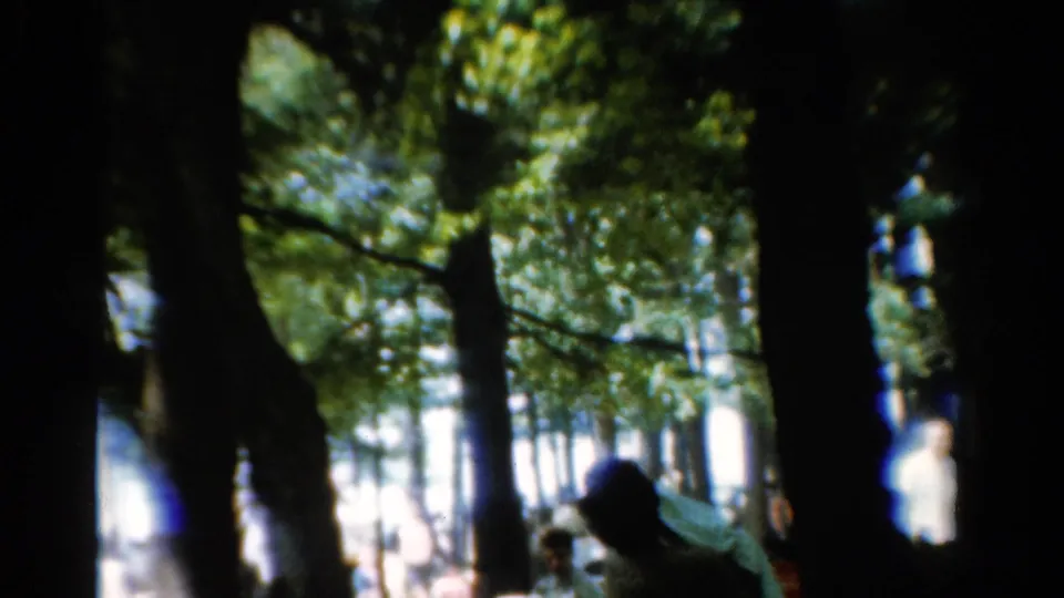 1954 California home-movie frame with a person leaning near a table in a wooded picnic area.