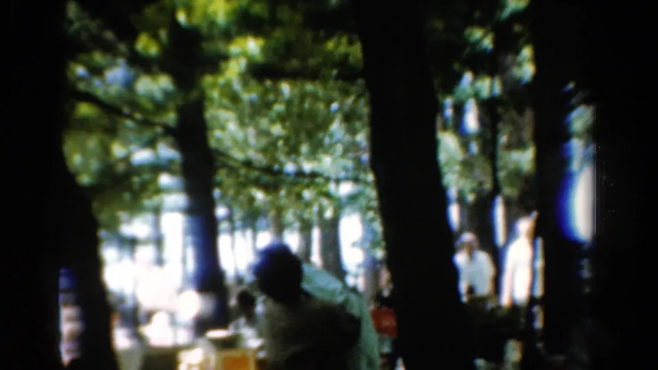 Soft 8mm frame from a 1954 California picnic showing people and tables beneath a tree canopy.