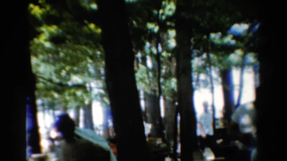 1954 California 8mm frame showing silhouetted picnic-goers among tall trees and bright background light.