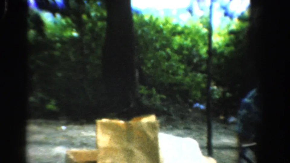 1954 California outdoor home-movie frame showing a brown paper bag, cardboard and shaded garden foliage.