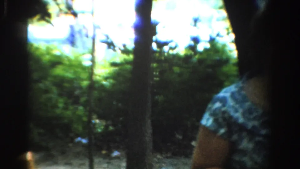 1954 California 8mm frame with a woman in a blue patterned blouse partly seen beside trees and bright foliage.