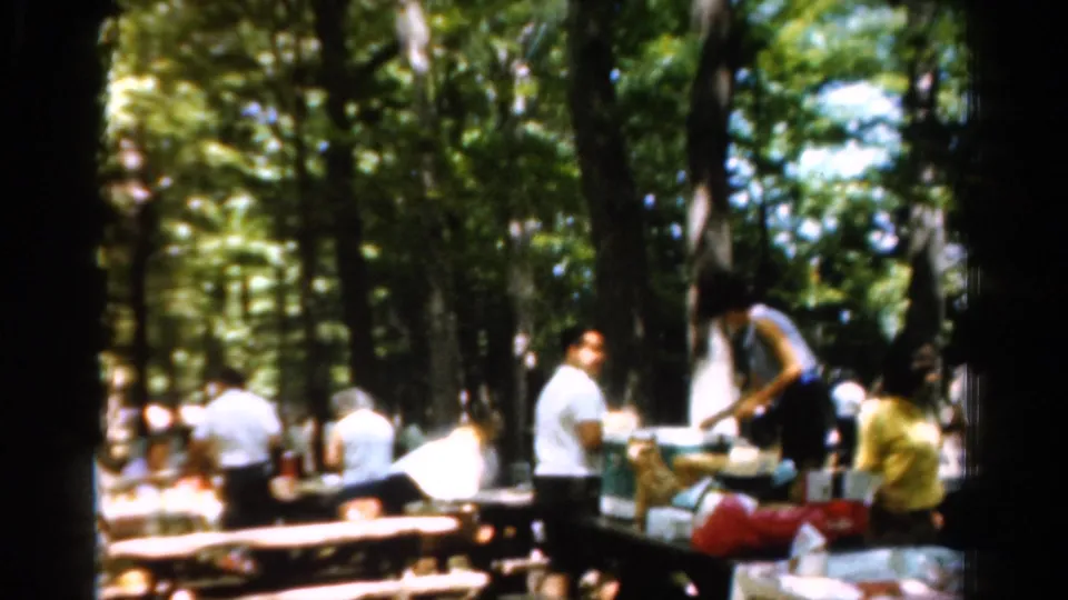 Adults in casual mid-century clothing stand and sit around picnic tables in a wooded California park, with food and bags on the tables.