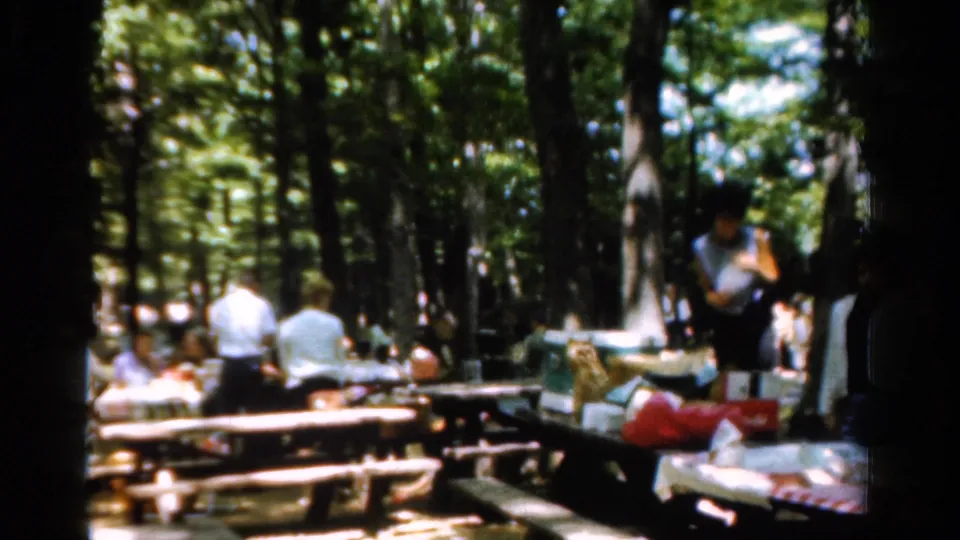 The final frame shows picnic guests seated and standing near tables in a wooded California park, with supplies arranged in the foreground.
