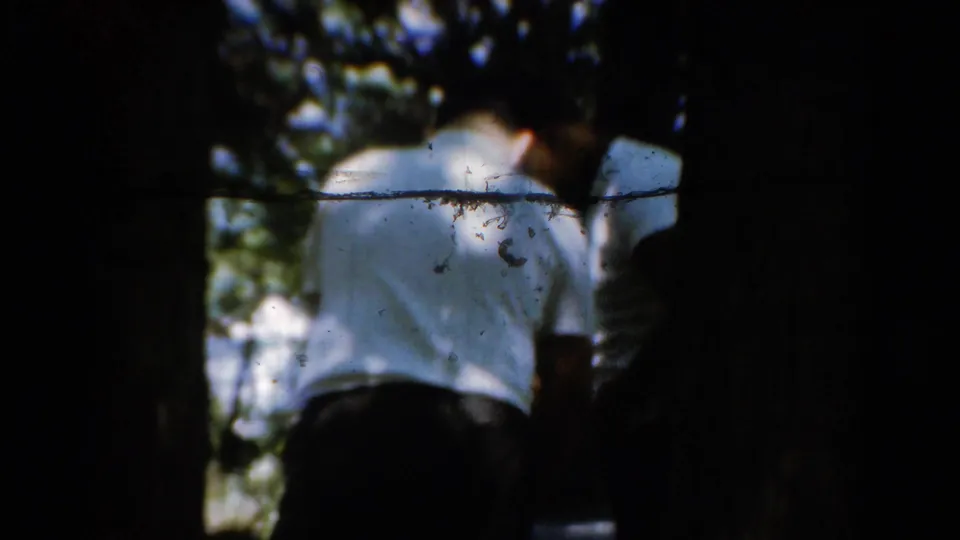 Two adults in light shirts are seen from behind in a shaded California woodland frame from 1954 8mm home-movie footage.