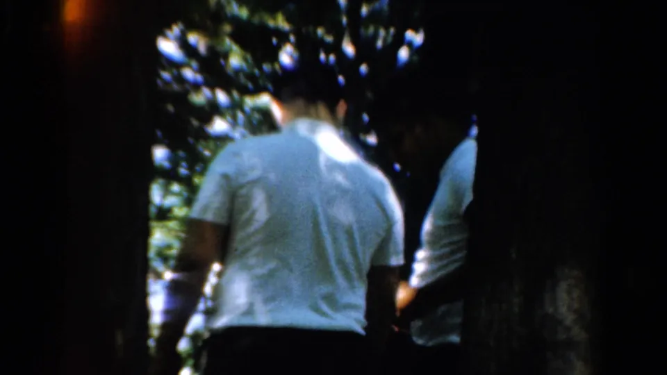 The frame shows people walking away under dense tree shade, with bright foliage beyond, in 1954 California 8mm footage.