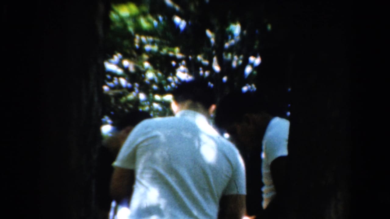 Two men in white shirts stand or walk near dark tree trunks under leafy shade.