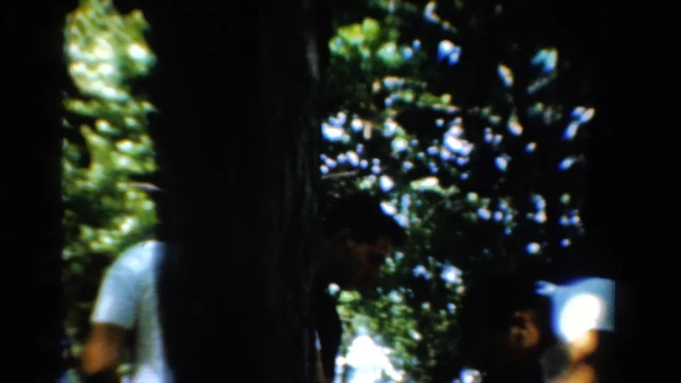 A shaded 8mm frame shows men partially obscured by tree trunks and foliage during a wooded California outing in 1954.