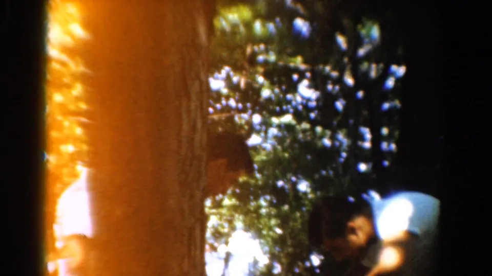 In this 1954 California 8mm frame, a man bends near a large tree as other figures in white shirts remain partly visible in sun and shade.