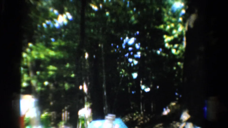 1954 California 8mm frame showing a dim forest campsite view with sunlit patches and indistinct camp items at the edge.