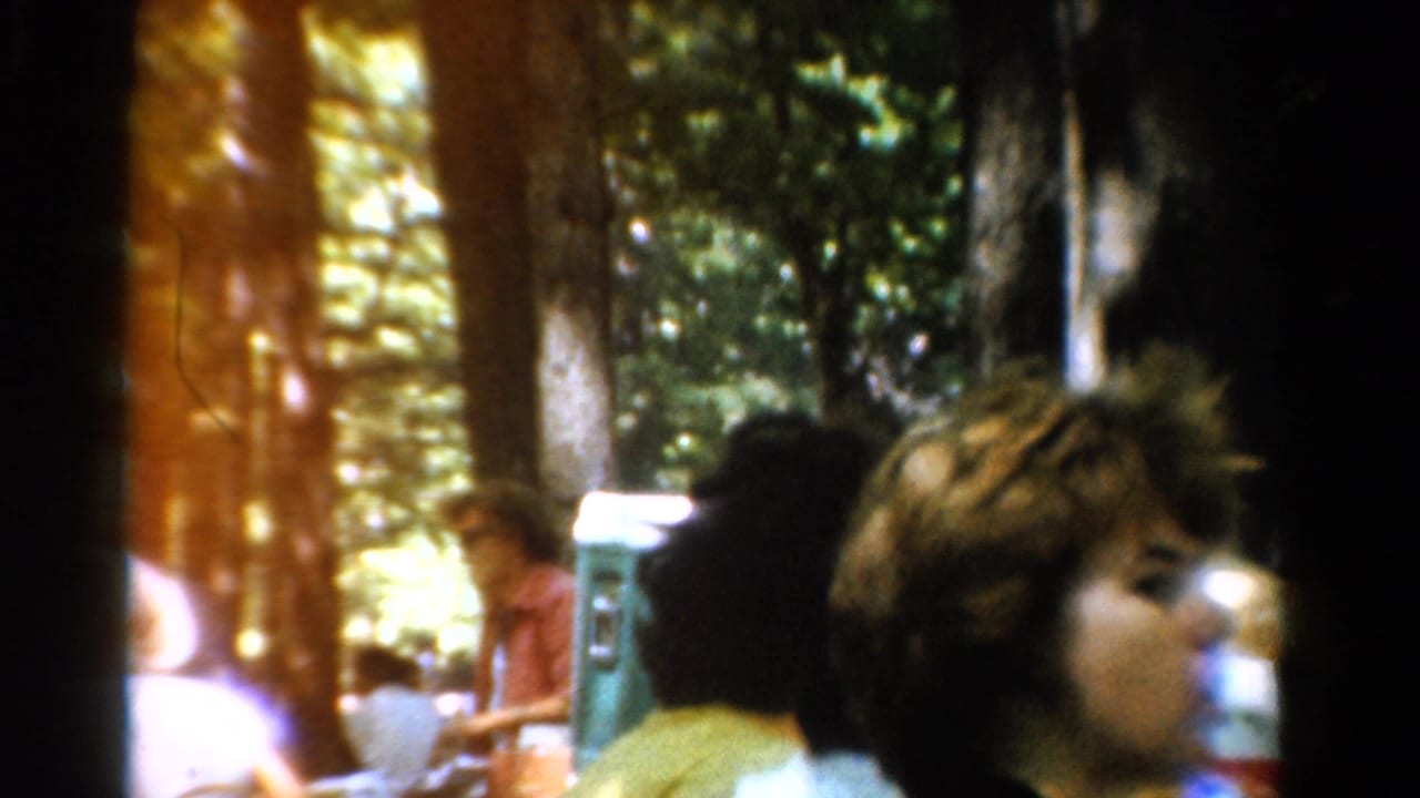 Picnic group under trees with a person in the foreground and a cooler-like object behind them.