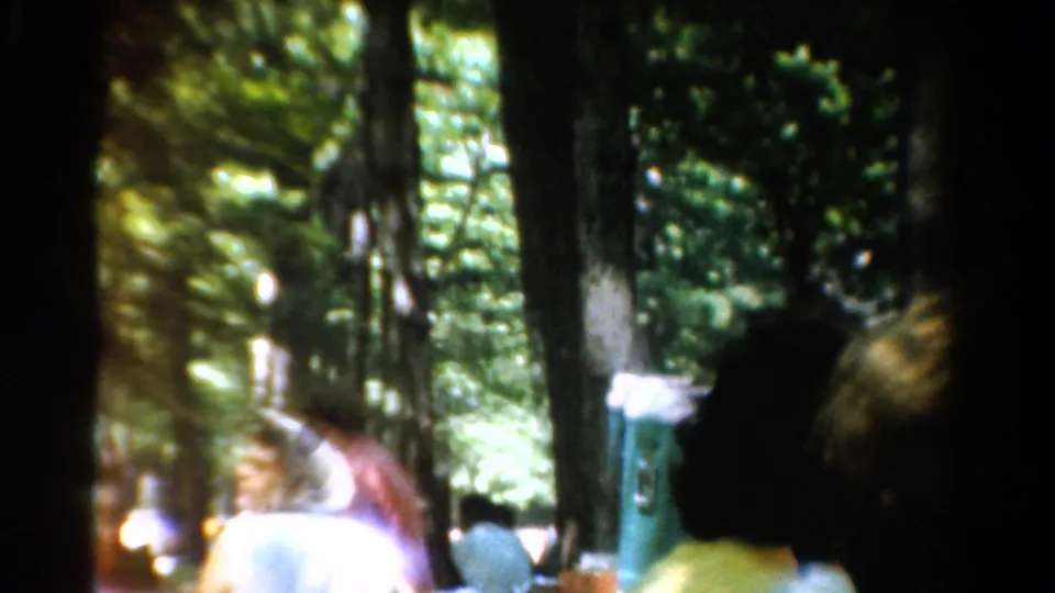 Soft 8mm frame of a wooded California picnic, with adults near tables and light flare across the left side.
