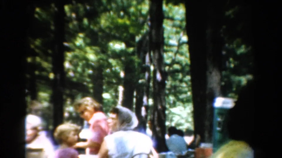 1954 California 8mm frame showing adults gathered at shaded picnic tables beneath tall trees.