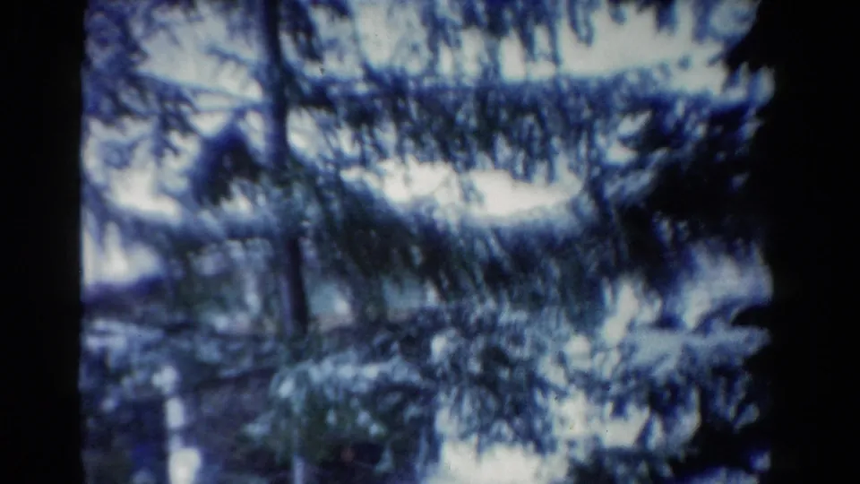 1954 Toledo home-movie view where evergreen branches obscure most of the dairy truck in the background.