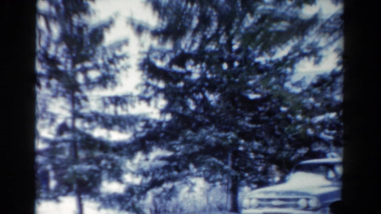 Snowy trees partially reveal a light blue station wagon at the right edge.