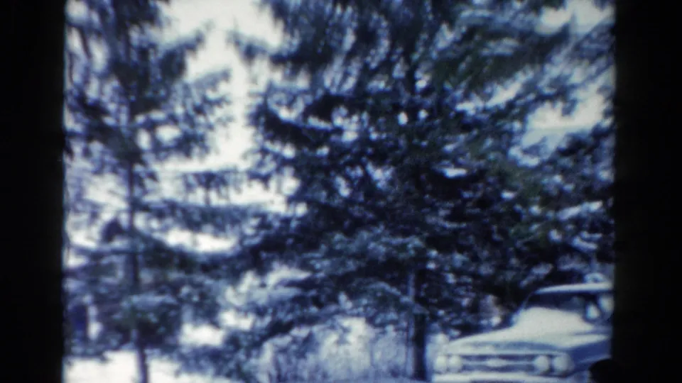 Snow-covered evergreens in Toledo with part of a light blue station wagon visible through the trees.