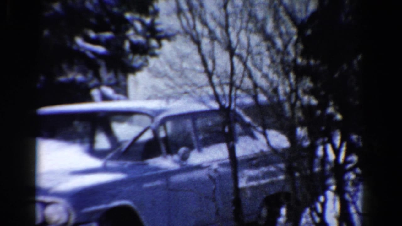 Blue sedan parked in snow, partly hidden by winter branches and a dark foreground trunk.